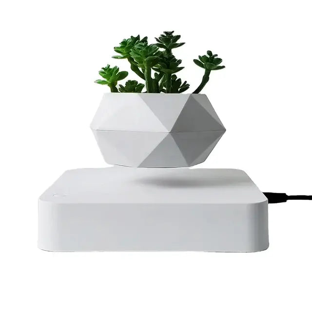Larana Home™ Potted Plant Home Desk Decor