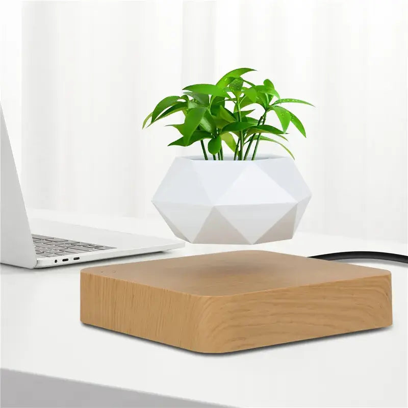 Larana Home™ Potted Plant Home Desk Decor