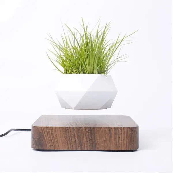 Larana Home™ Potted Plant Home Desk Decor