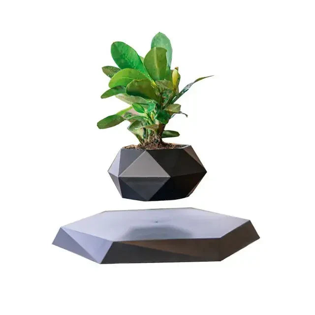 Larana Home™ Potted Plant Home Desk Decor
