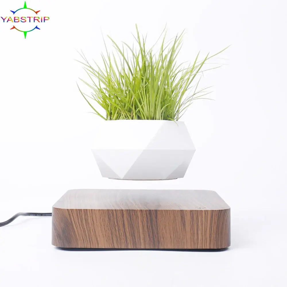 Larana Home™ Potted Plant Home Desk Decor