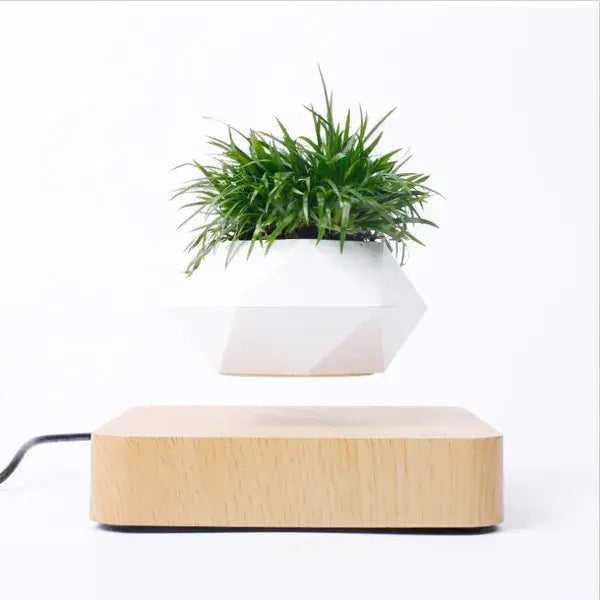 Larana Home™ Potted Plant Home Desk Decor