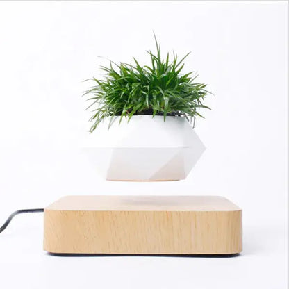 Larana Home™ Potted Plant Home Desk Decor
