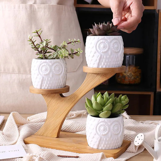 Larana Home™ Succulent Pots