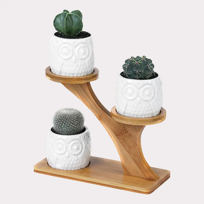 Larana Home™ Succulent Pots