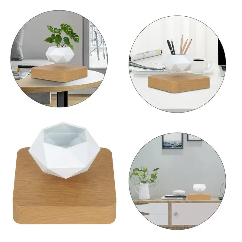 Larana Home™ Potted Plant Home Desk Decor
